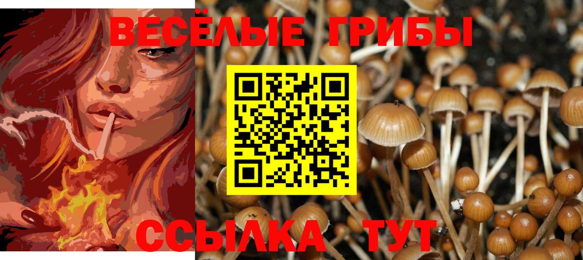 Галлюциногенные грибы мицелий  Вход с VPN  купить   Нижний Новгород 
